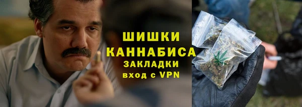 стаф Зерноград
