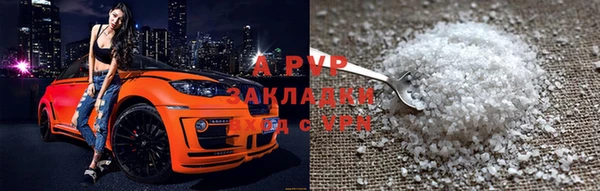 стаф Зерноград