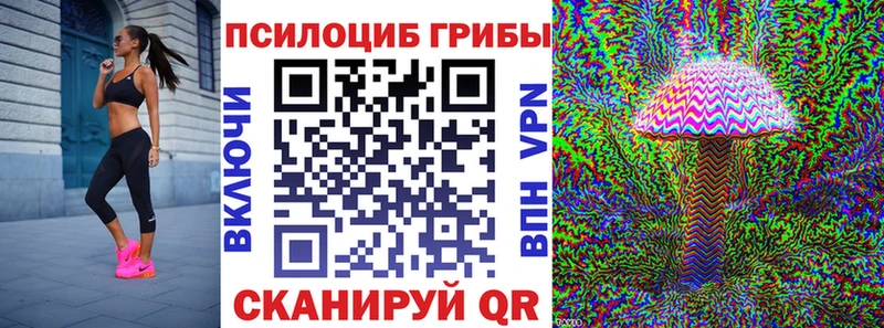 Купить где  Юхнов  Галлюциногенные грибы прущие грибы 